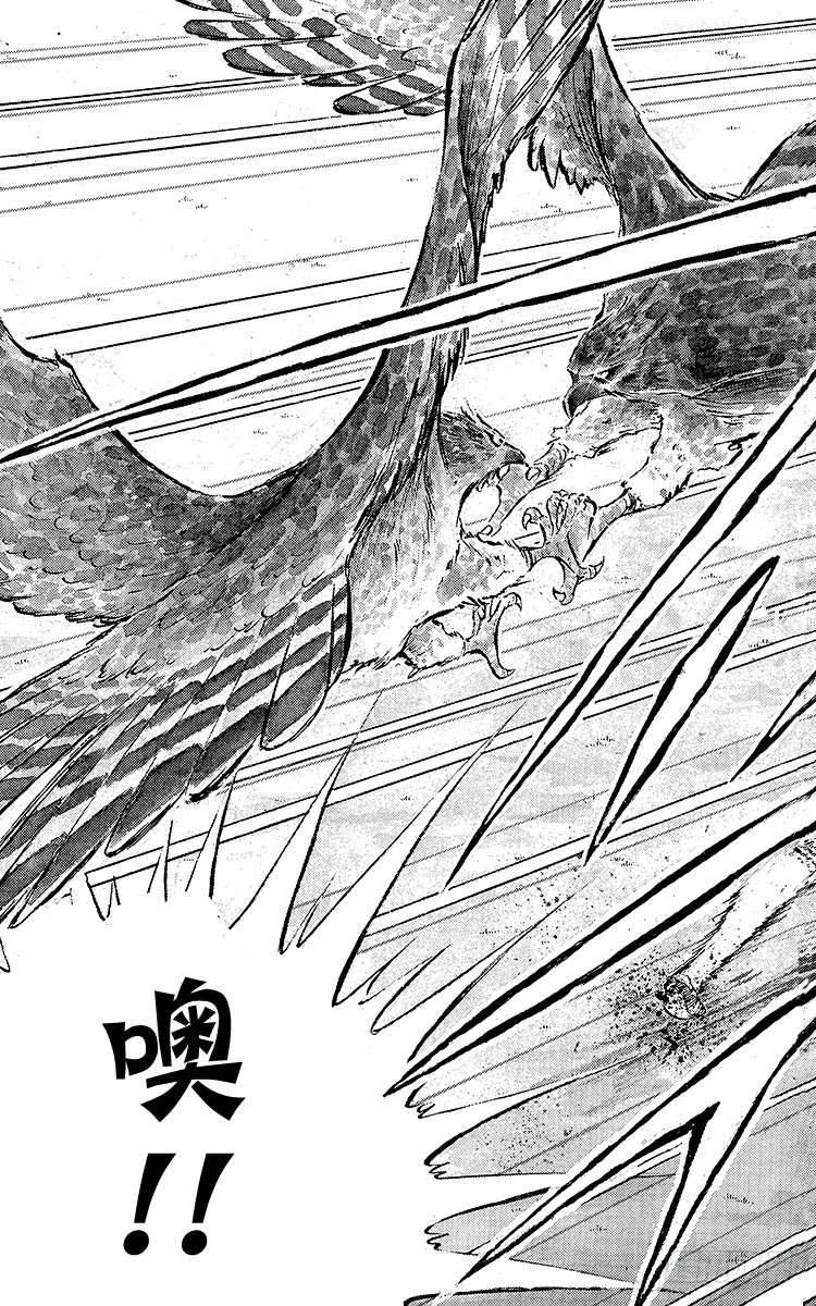 《队长小翼（足球小将）》第54话 隼翼之战 第17页