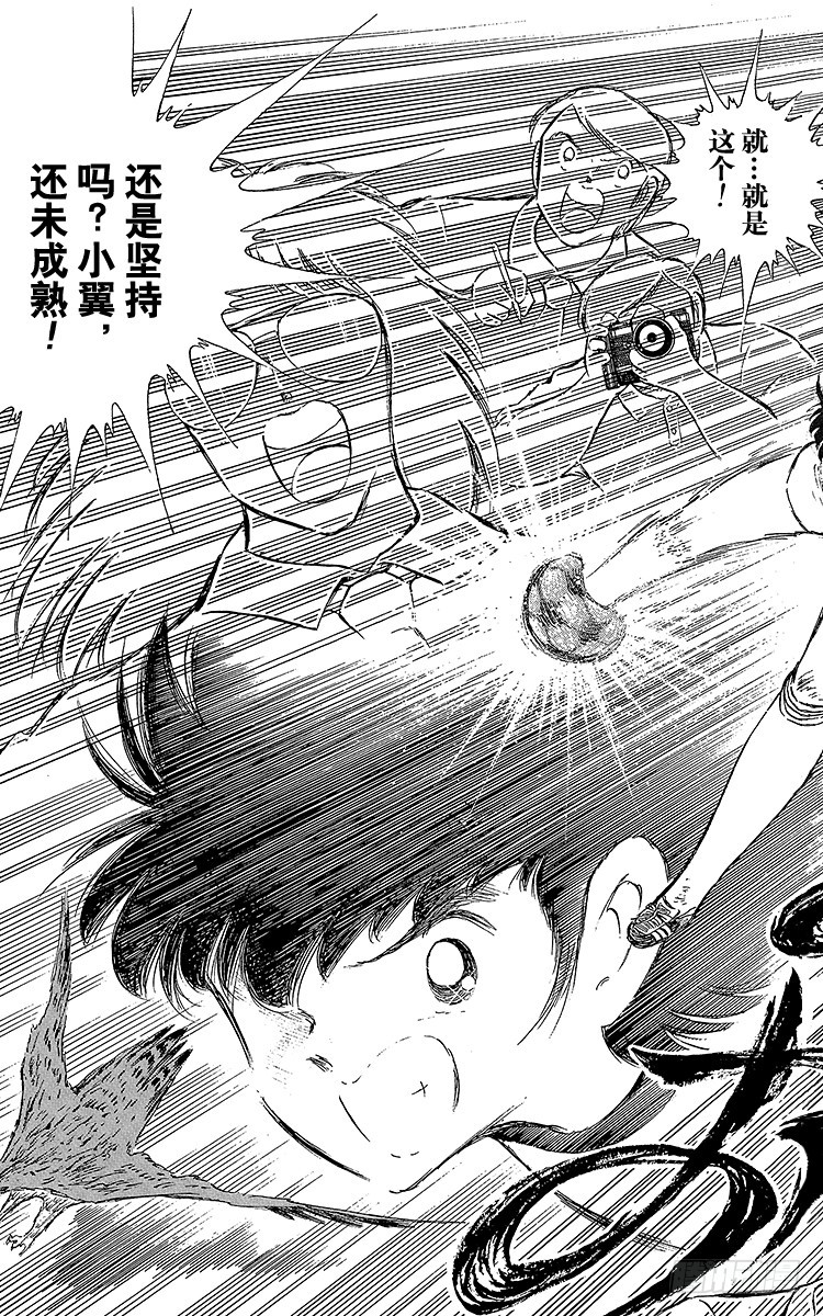 《队长小翼（足球小将）》第66话 不死鸟小翼 第25页