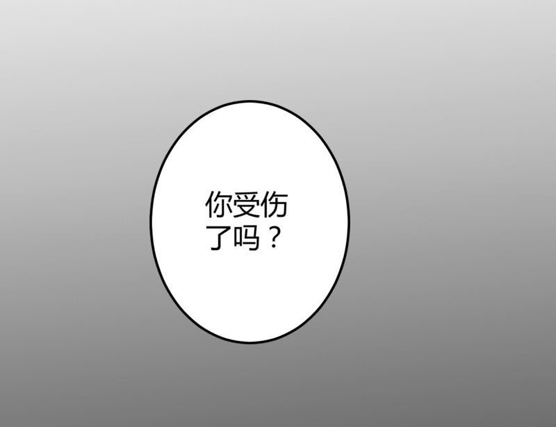 《花落一梦》梦里花落 第10页