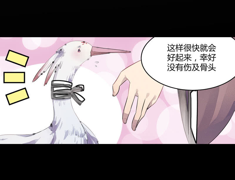 《花落一梦》梦里花落 第14页