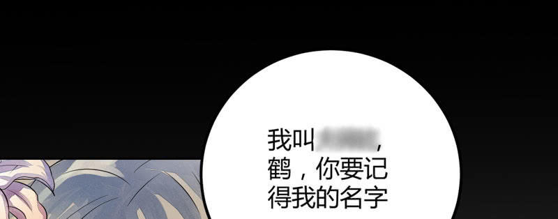 《花落一梦》梦里花落 第24页