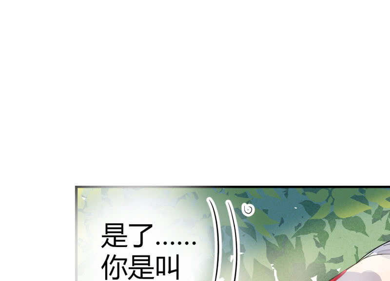 《花落一梦》梦里花落 第30页