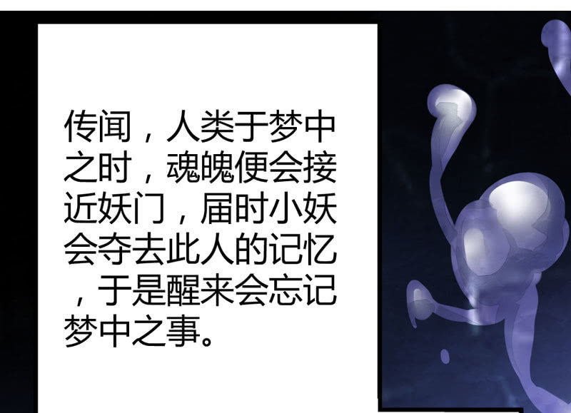 《花落一梦》梦里花落 第3页