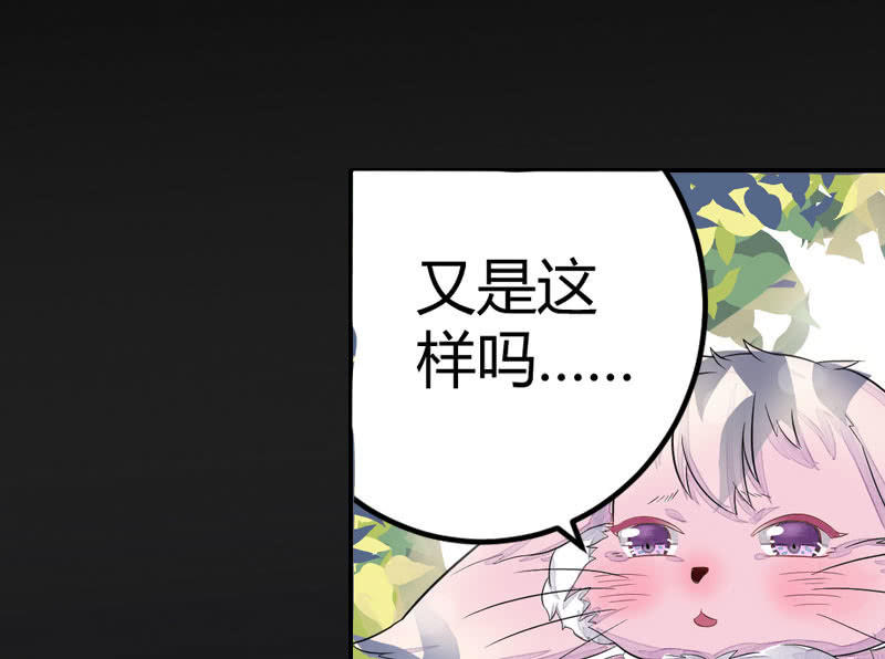 《花落一梦》梦里花落 第46页