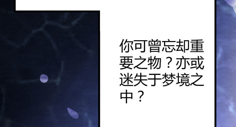 《花落一梦》梦里花落 第4页