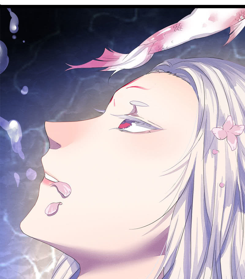 《花落一梦》梦里花落 第6页