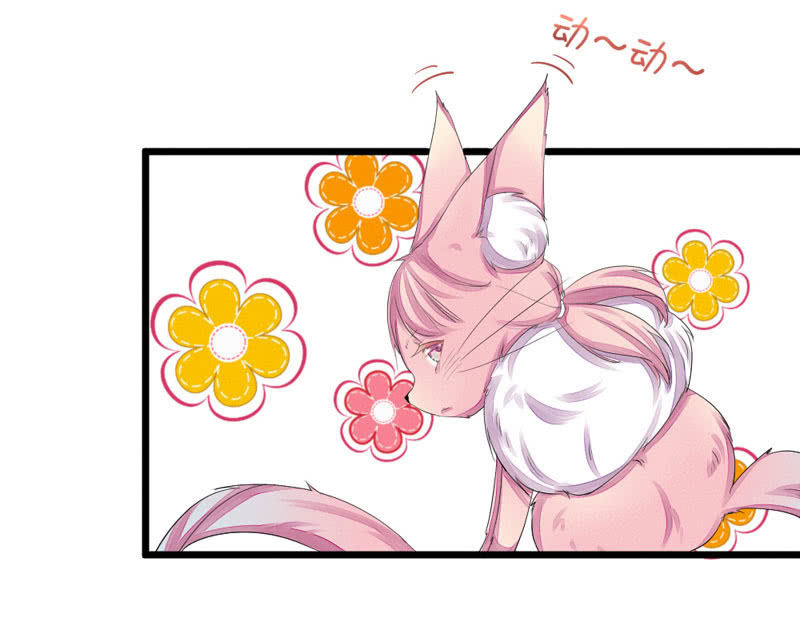 《花落一梦》三个男人一台戏？！ 第12页