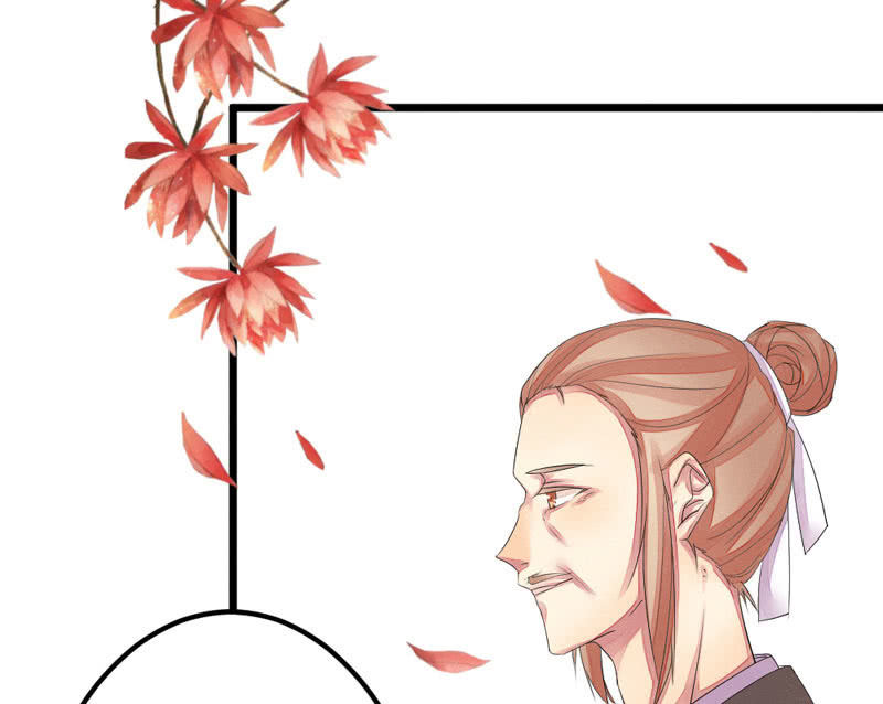 《花落一梦》三个男人一台戏？！ 第3页