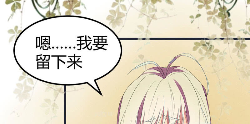 《花落一梦》你不跟我离开么？！ 第19页