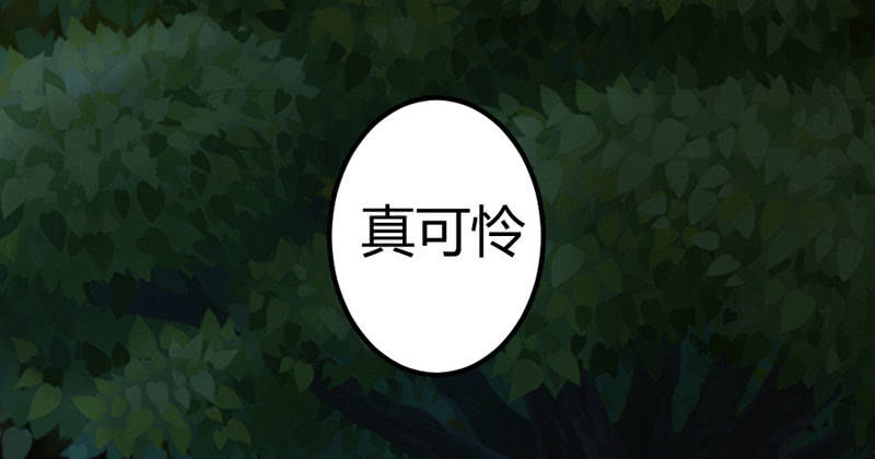 《花落一梦》你不跟我离开么？！ 第3页