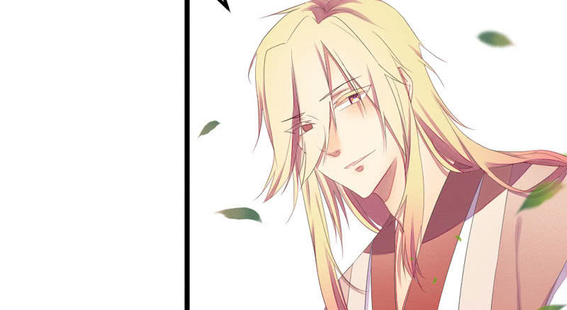 《花落一梦》猝不及防的狗粮 第4页