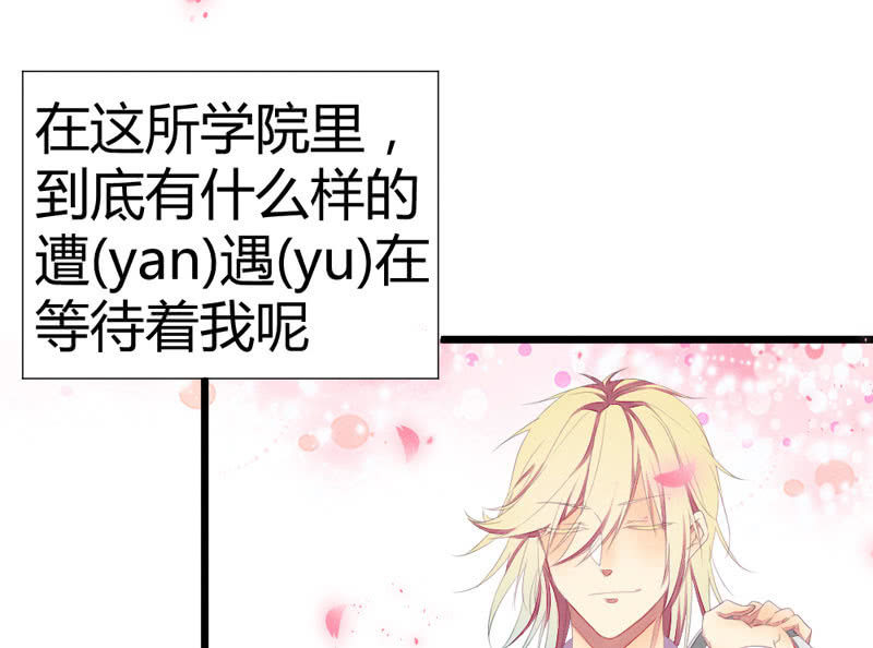 《花落一梦》番外现代篇落花学院1 第10页