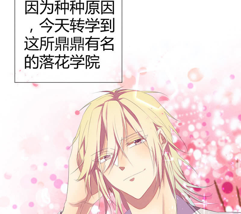 《花落一梦》番外现代篇落花学院1 第8页