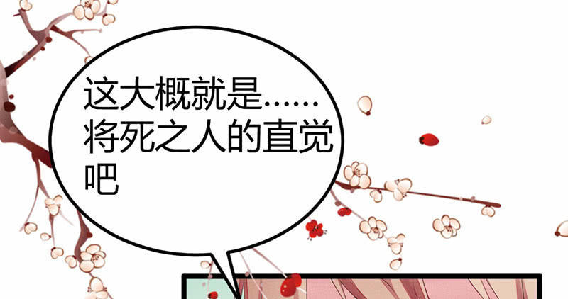 《花落一梦》村庄、小言。 第28页