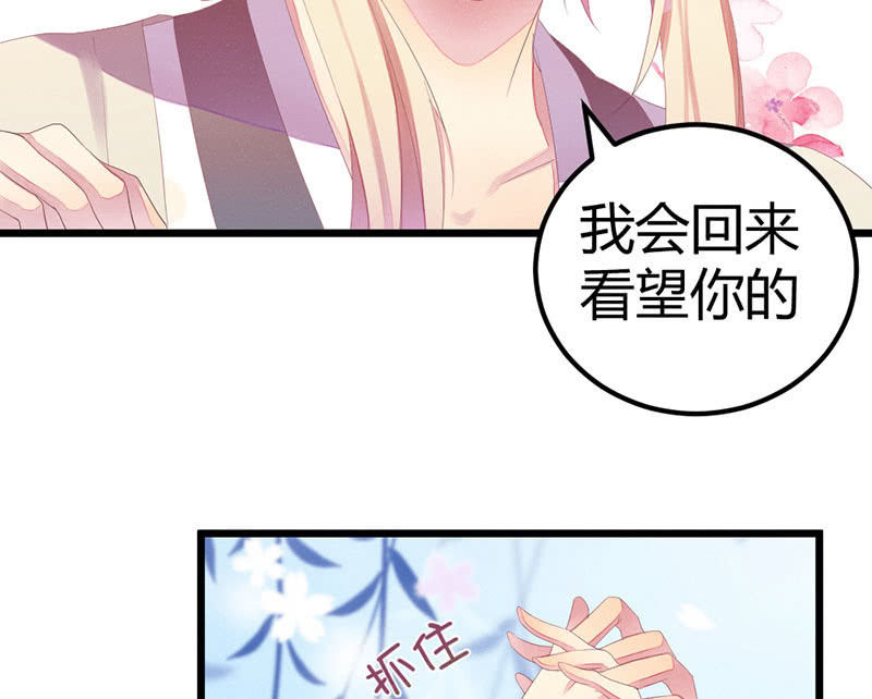 《花落一梦》爱与责任 第32页