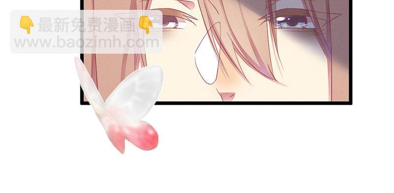 《花落一梦》其实，我一直喜欢他 第23页