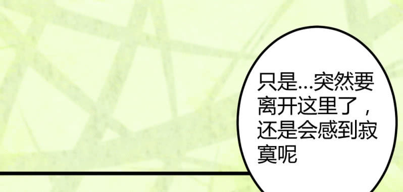 《花落一梦》我们走吧 第7页