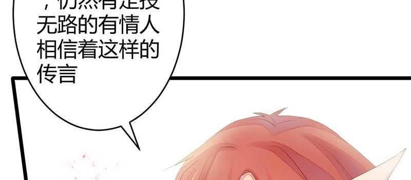 《花落一梦》红线-完 第36页