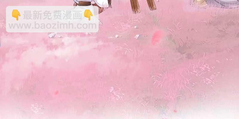 《花落一梦》桃源乡 第12页