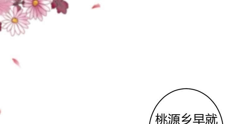 《花落一梦》桃源乡 第28页