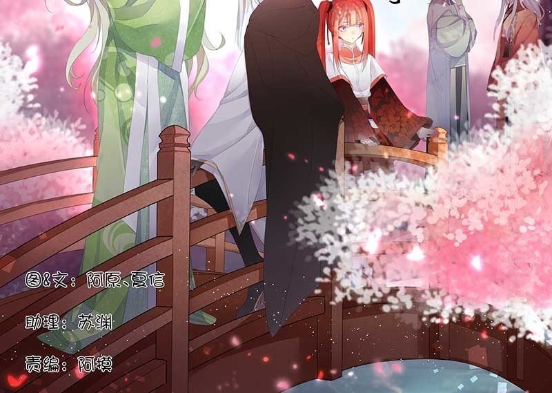 《花落一梦》桃源乡 第2页
