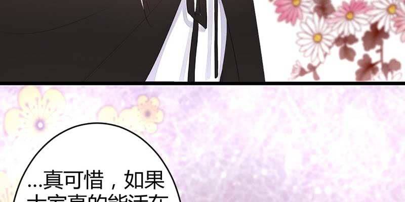 《花落一梦》桃源乡 第31页