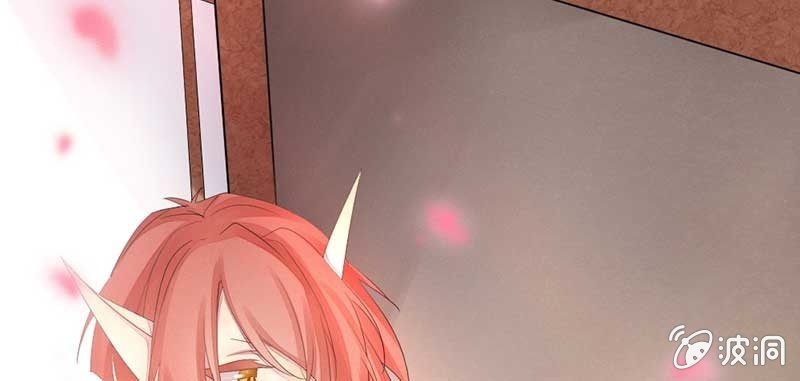 《花落一梦》笙歌小哥哥 第33页