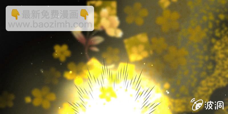 《花落一梦》师傅，你还活着吗？ 第33页