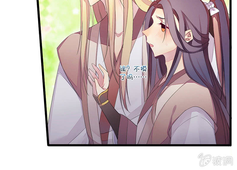 《花落一梦》到底在做什么？ 第41页