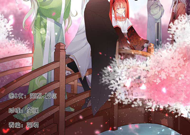 《花落一梦》主动的毕文 第2页