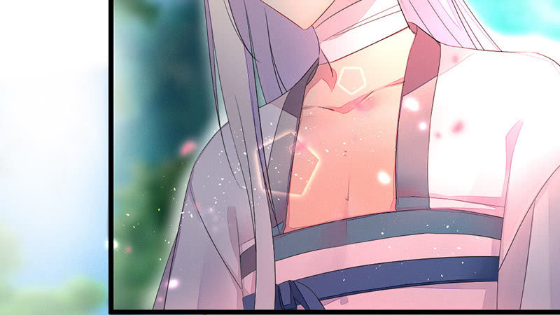 《花落一梦》主动的毕文 第31页