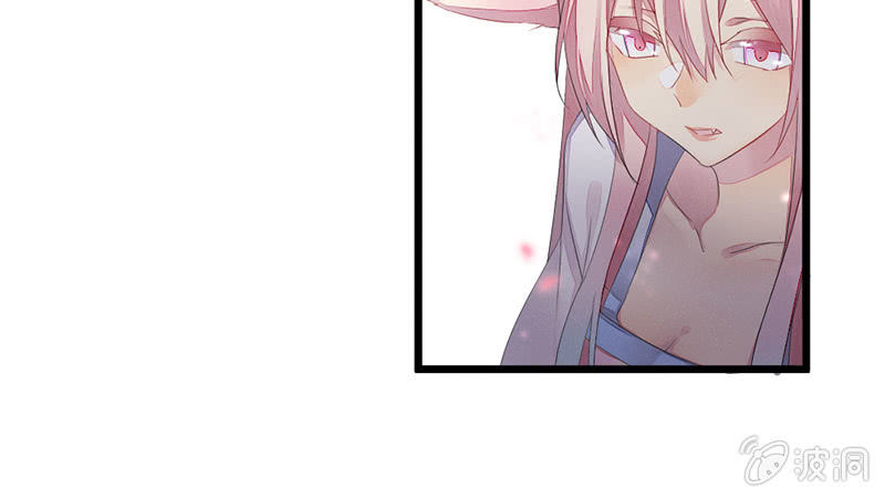 《花落一梦》主动的毕文 第37页