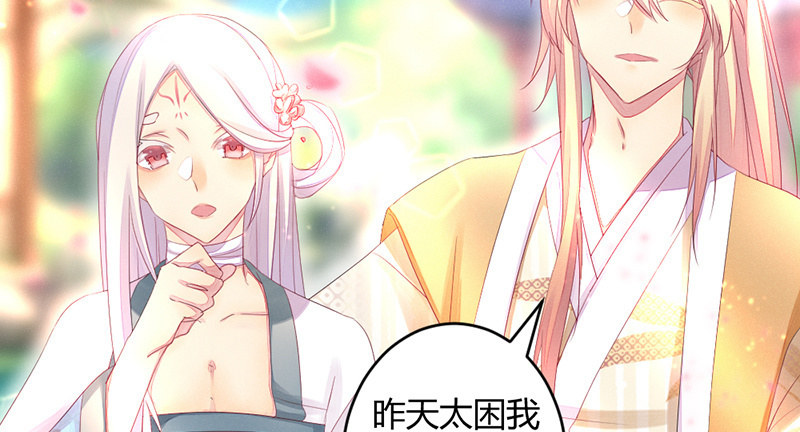 《花落一梦》主动的毕文 第8页