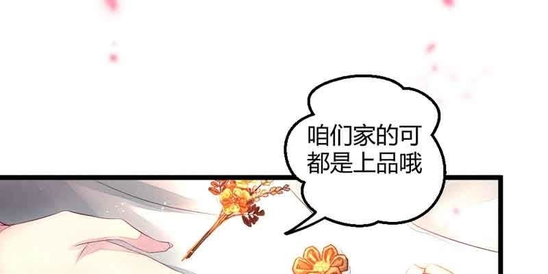 《花落一梦》这是我娘子 第14页