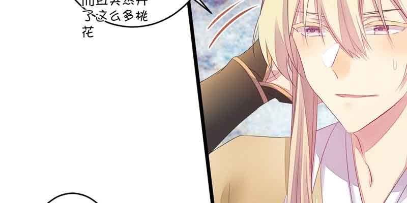 《花落一梦》这是我娘子 第3页