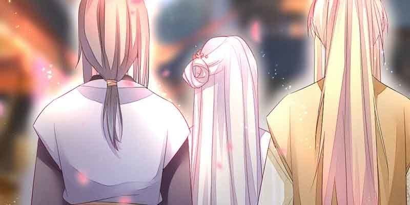 《花落一梦》这是我娘子 第8页