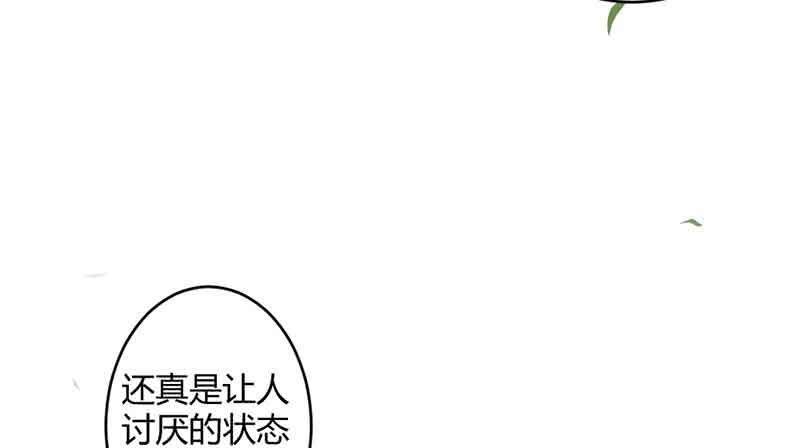《花落一梦》我怕的不是死 第11页