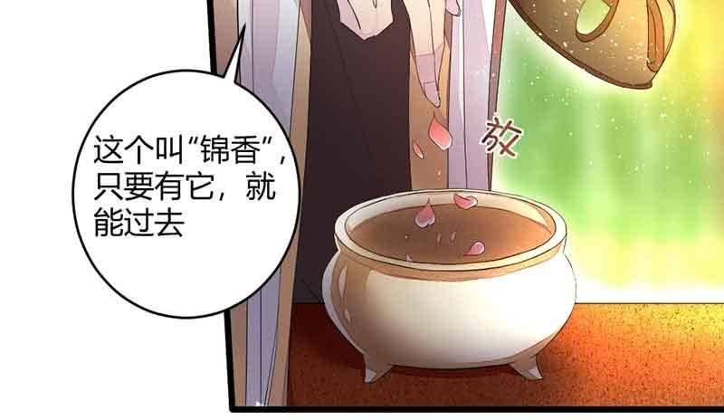 《花落一梦》新的任务 第20页