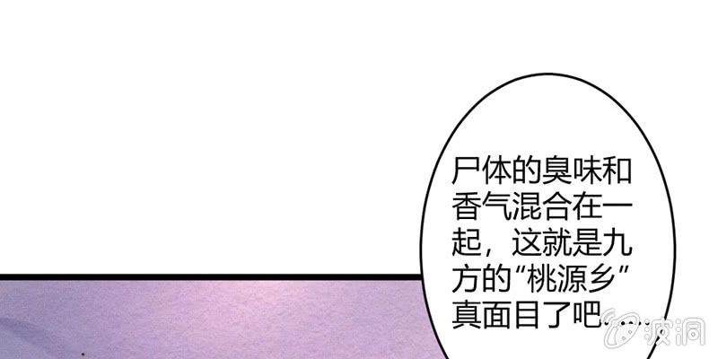 《花落一梦》桃源乡的秘密 第17页
