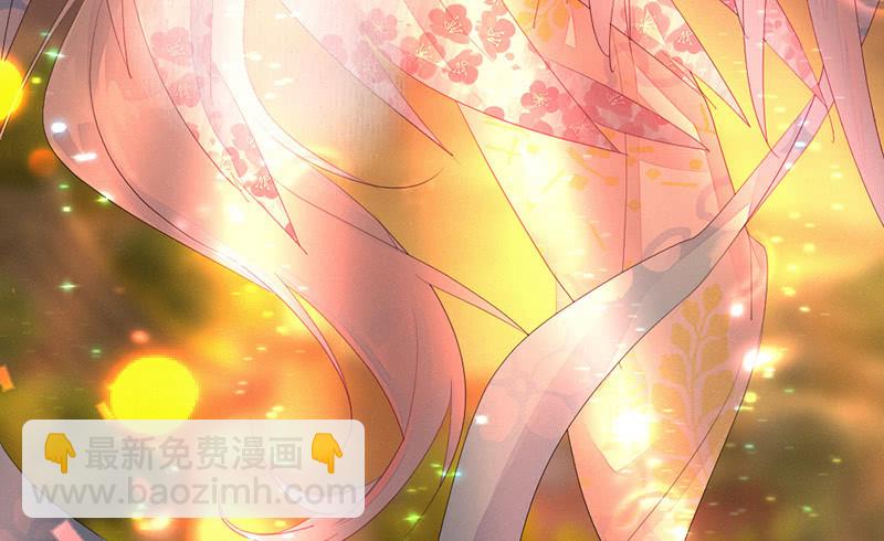 《花落一梦》桃源乡的秘密 第3页