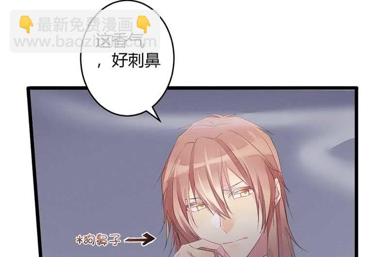 《花落一梦》望天吼，到！ 第44页