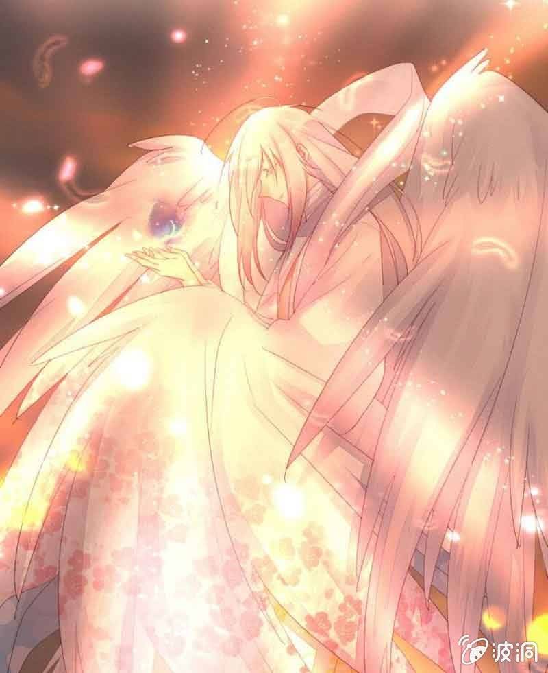 《花落一梦》真的认真了吗？ 第1页