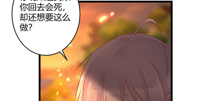 《花落一梦》毕文的力量 第31页