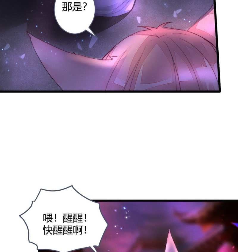 《花落一梦》你杀不了我的 第15页