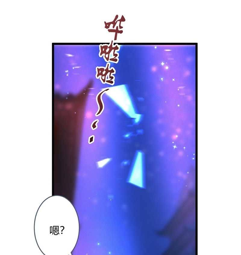 《花落一梦》你杀不了我的 第19页