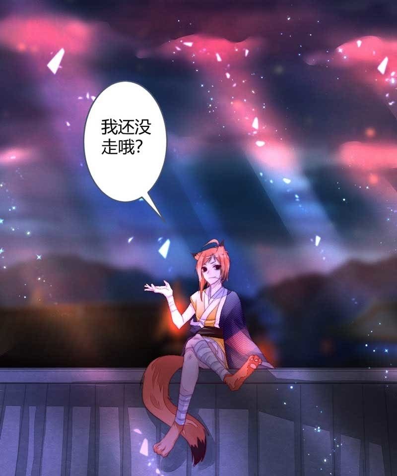 《花落一梦》你杀不了我的 第27页