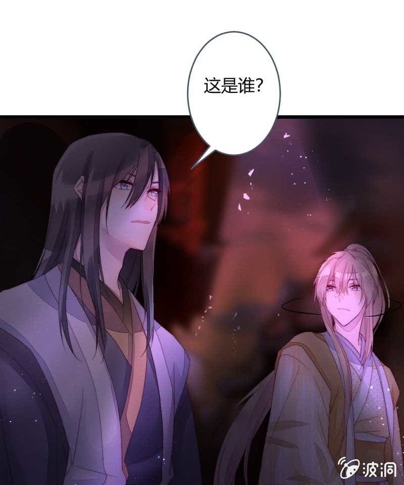 《花落一梦》你杀不了我的 第29页