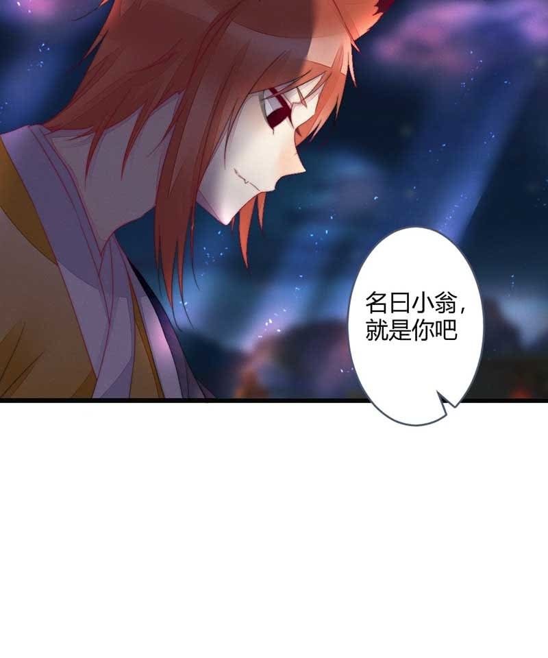 《花落一梦》你杀不了我的 第35页