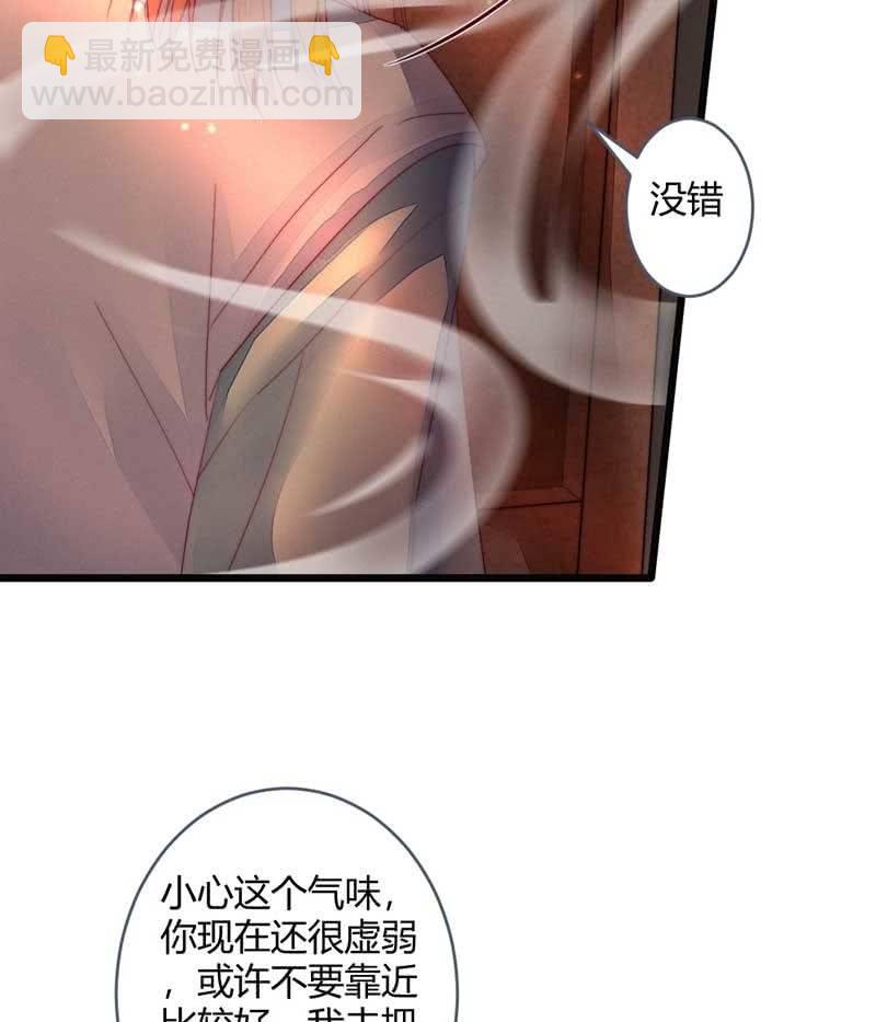 《花落一梦》你杀不了我的 第4页