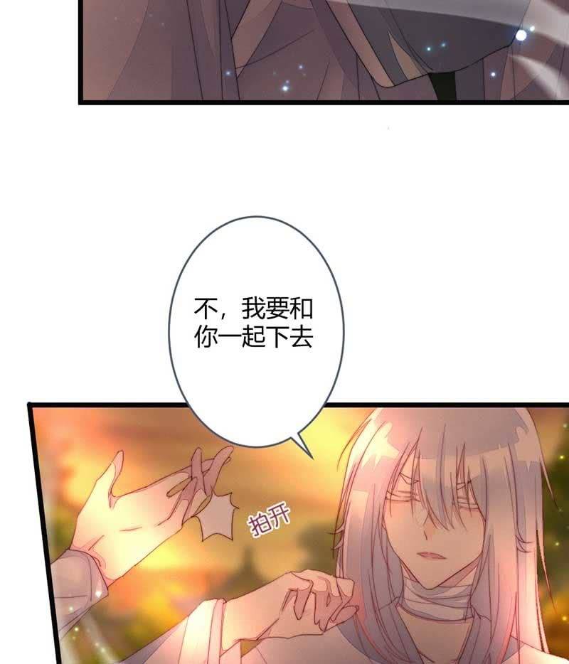 《花落一梦》你杀不了我的 第6页